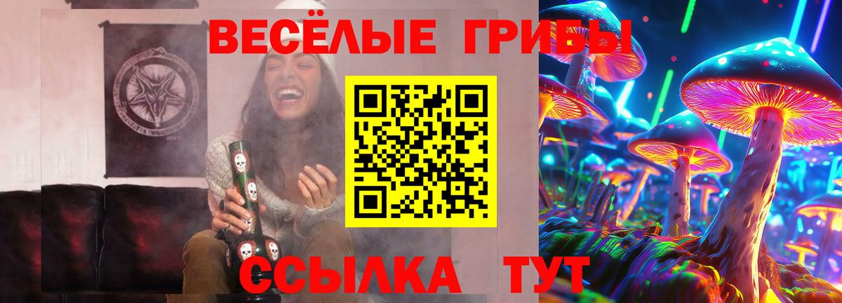 Галлюциногенные грибы Psilocybine cubensis  Псилоцибиновые грибы прущие грибы  Вход с VPN  где купить наркотик  Павлово 